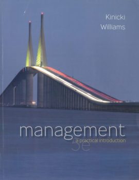 Management A Practical Introduction - Blending scholarship and imaginative writing